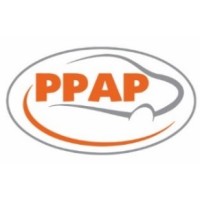 PPAP Automotive Ltd logo