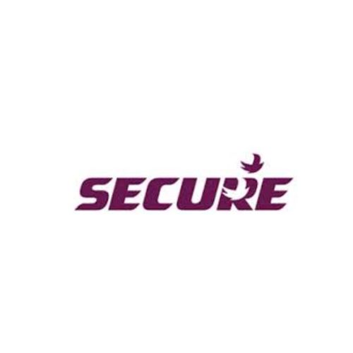 Secure Meters Ltd. logo