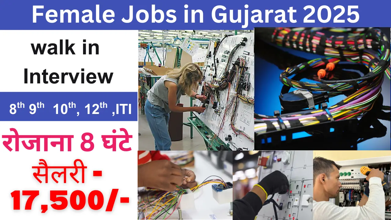 Female Jobs in Gujarat 2025