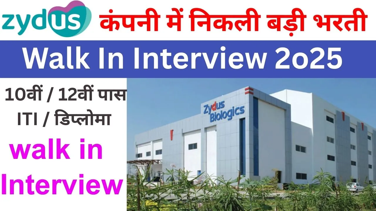 Zydus Recruitment 2025