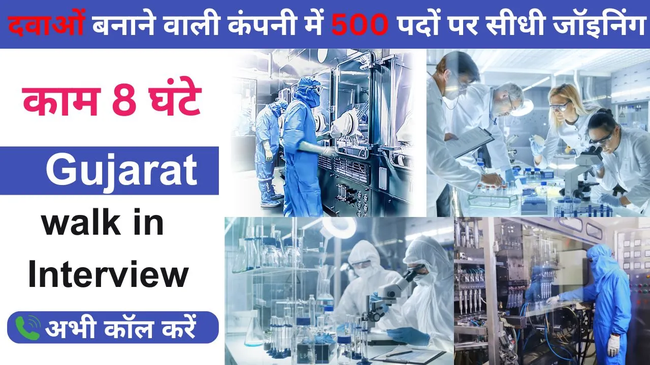 Farma Company Job 2025