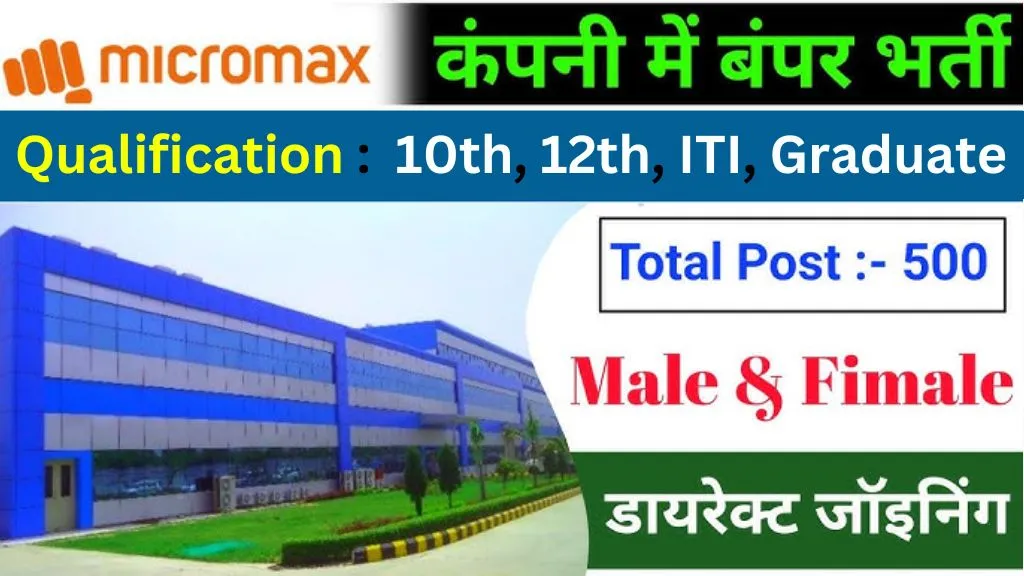 Micromax Company Job 2025